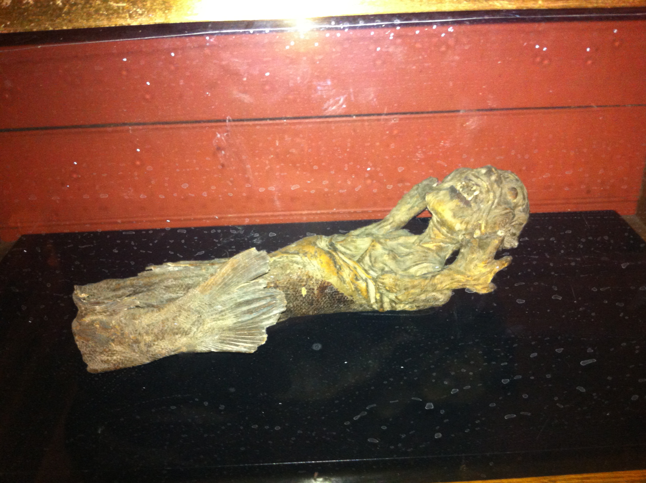 A merman, the strangest exhibit at the British Museum