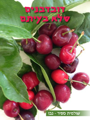 דובדבנים שלא בעיתם by Shulamit Sapir-Nevo - Illustrated by SHULI SAPIR-NEVO - Ourboox.com דובדבנים שלא בעיתם by Shulamit Sapir-Nevo - Illustrated by SHULI SAPIR-NEVO - Ourboox.com