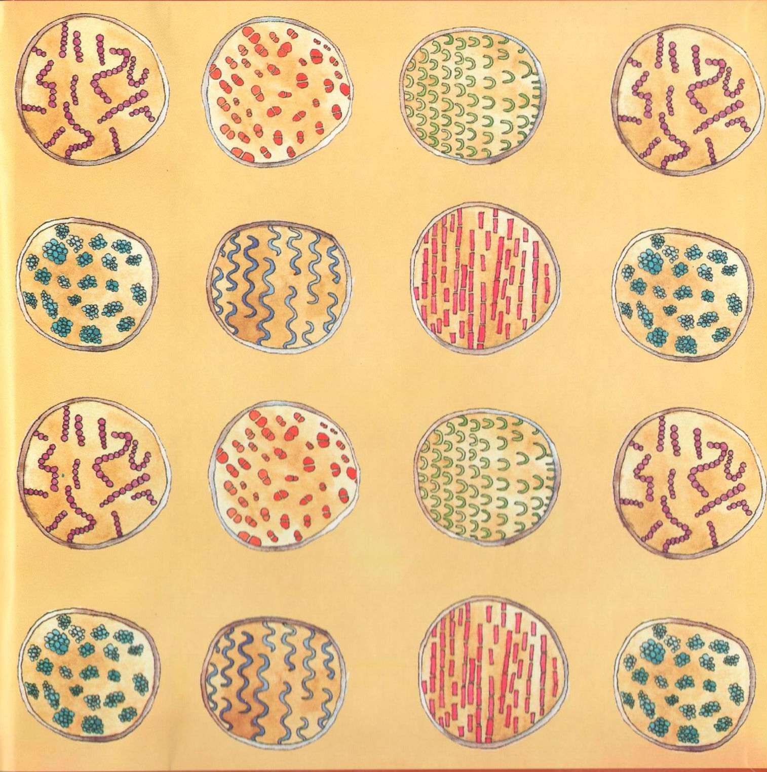 Bacteria Galore by Sunday at Four (Arabic version) – illustrations Tali Niv-Dolinsky – كتاب عن البكتيريا للأطفال by Mel Rosenberg - מל רוזנברג - Illustrated by Tali Niv-Dolinsky - Ourboox.com
