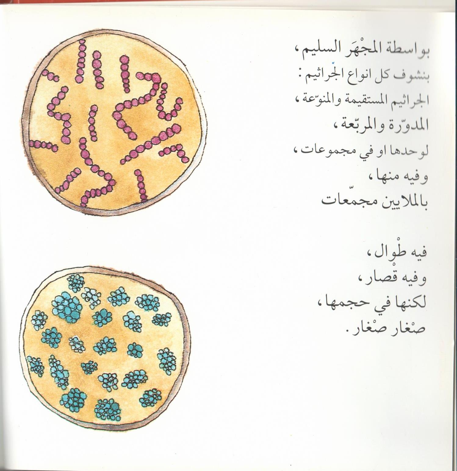 Bacteria Galore by Sunday at Four (Arabic version) – illustrations Tali Niv-Dolinsky – كتاب عن البكتيريا للأطفال by Mel Rosenberg - מל רוזנברג - Illustrated by Tali Niv-Dolinsky - Ourboox.com