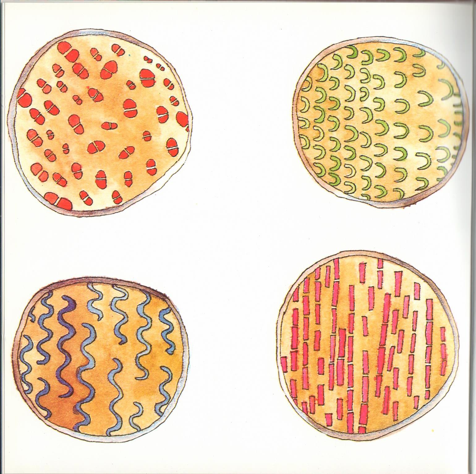 Bacteria Galore by Sunday at Four (Arabic version) – illustrations Tali Niv-Dolinsky – كتاب عن البكتيريا للأطفال by Mel Rosenberg - מל רוזנברג - Illustrated by Tali Niv-Dolinsky - Ourboox.com