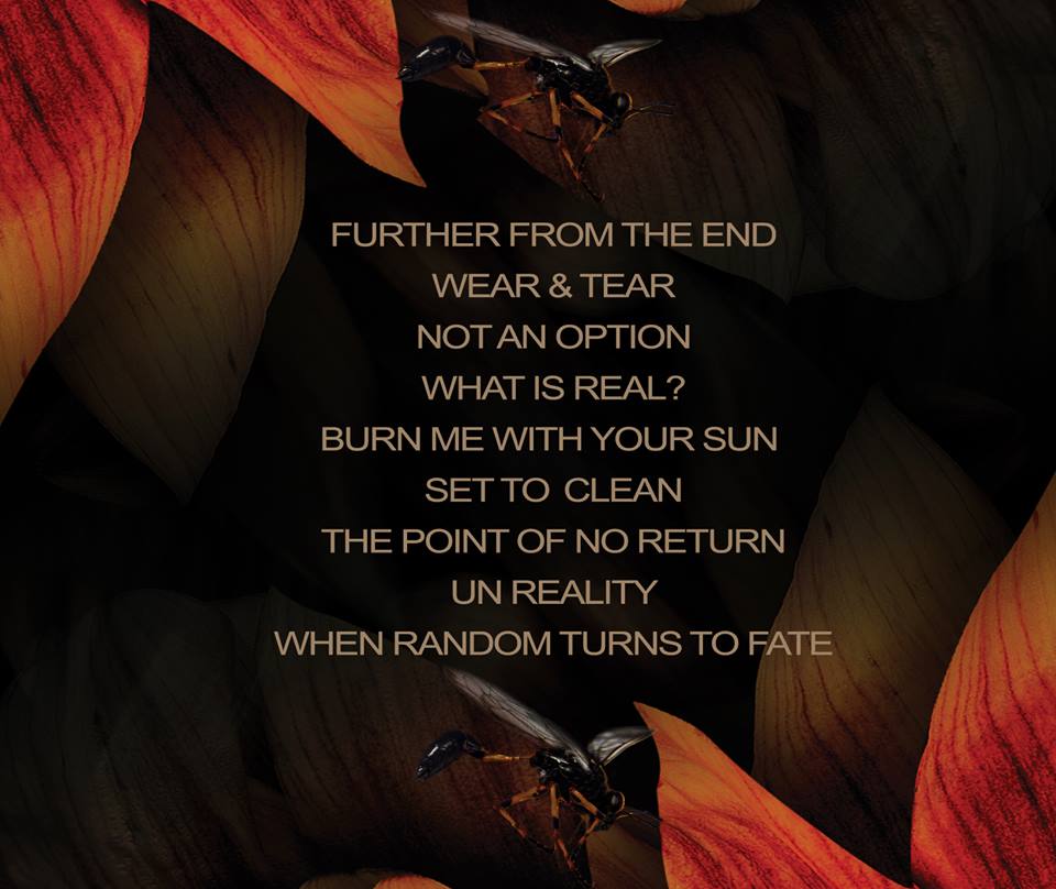 When Random Turns To Fate by Matricide - Illustrated by Ran Eliahou - Ourboox.com