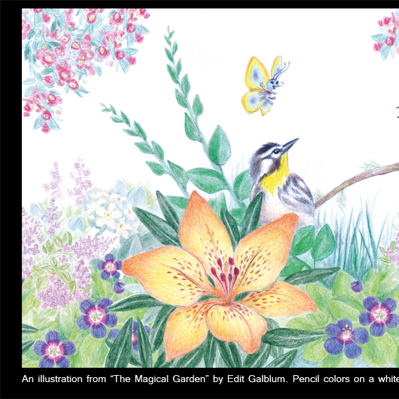 Rotem Omri – Portfolio by Rotem Omri - Illustrated by Rotem Omri - Ourboox.com