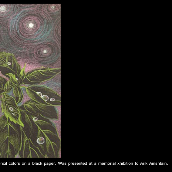 Rotem Omri – Portfolio by Rotem Omri - Illustrated by Rotem Omri - Ourboox.com