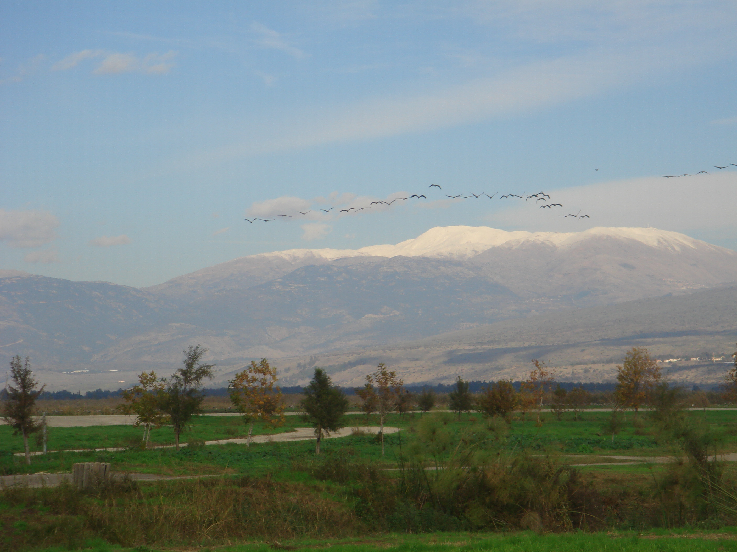תעזוב את המילים by Shulamit Sapir-Nevo - Ourboox.com