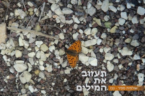 תעזוב את המילים by Shulamit Sapir-Nevo - Ourboox.com תעזוב את המילים by Shulamit Sapir-Nevo - Ourboox.com