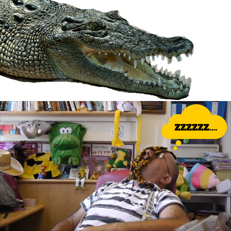 דוקטור מל מספר על כל הדברים אשר בתבל ישן וחולם על תנינים