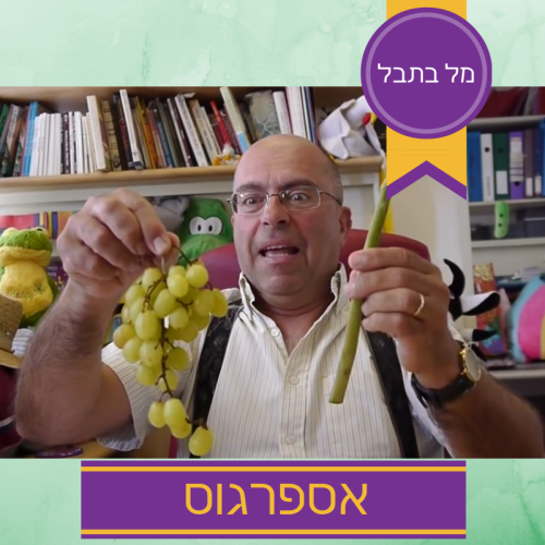 אספרגוס by Mel Rosenberg - מל רוזנברג - Ourboox.com אספרגוס by Mel Rosenberg - מל רוזנברג - Ourboox.com