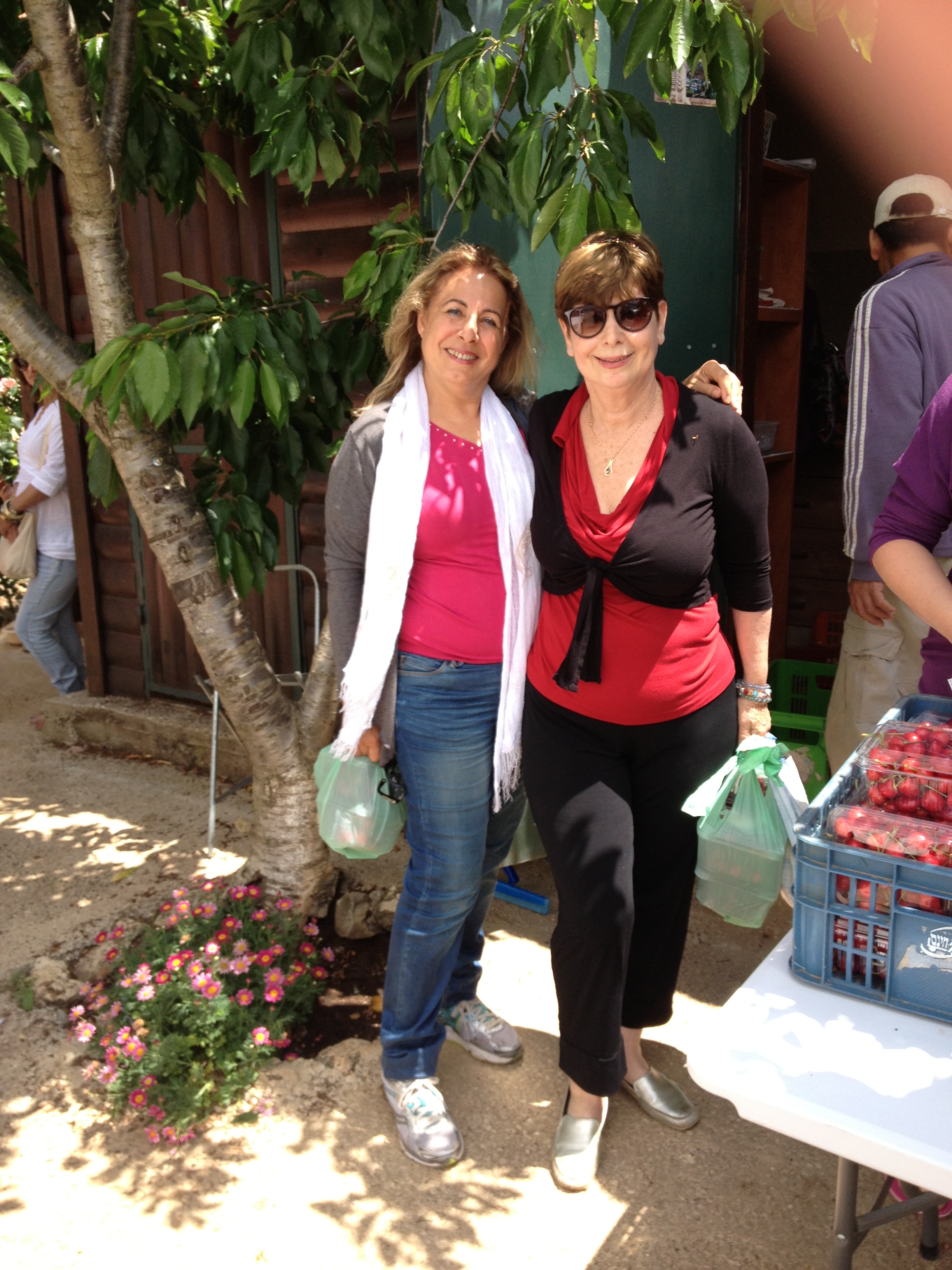 לקטוף דובדבנים ולרקוד by Shuli Sapir-Nevo Photo and Motto - Ourboox.com