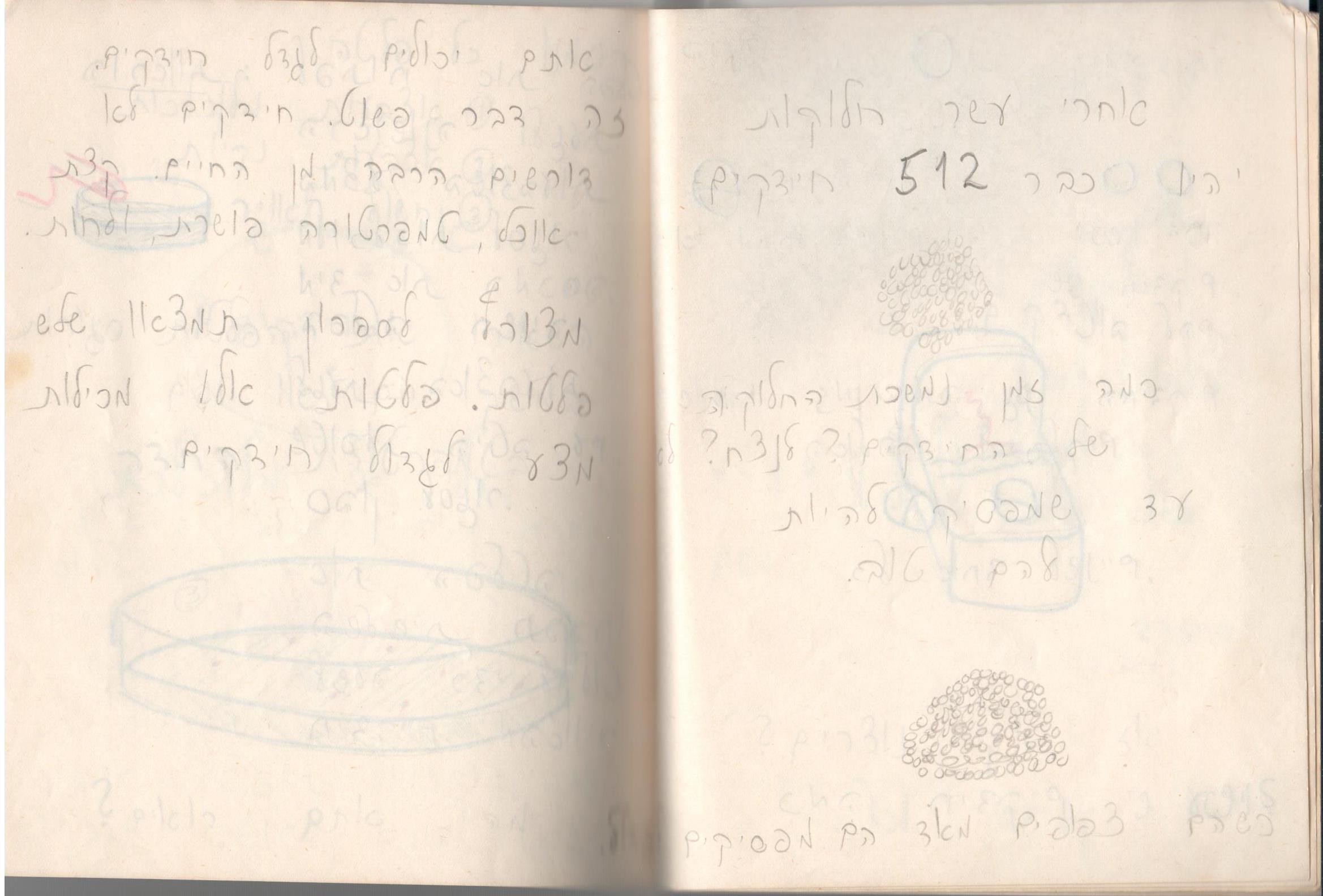 כמה זמן נמשכת החלוקה של החיידקים? לנצח? עד שמפסיק להיות להם טוב. המחברת המקורית משנת 1975