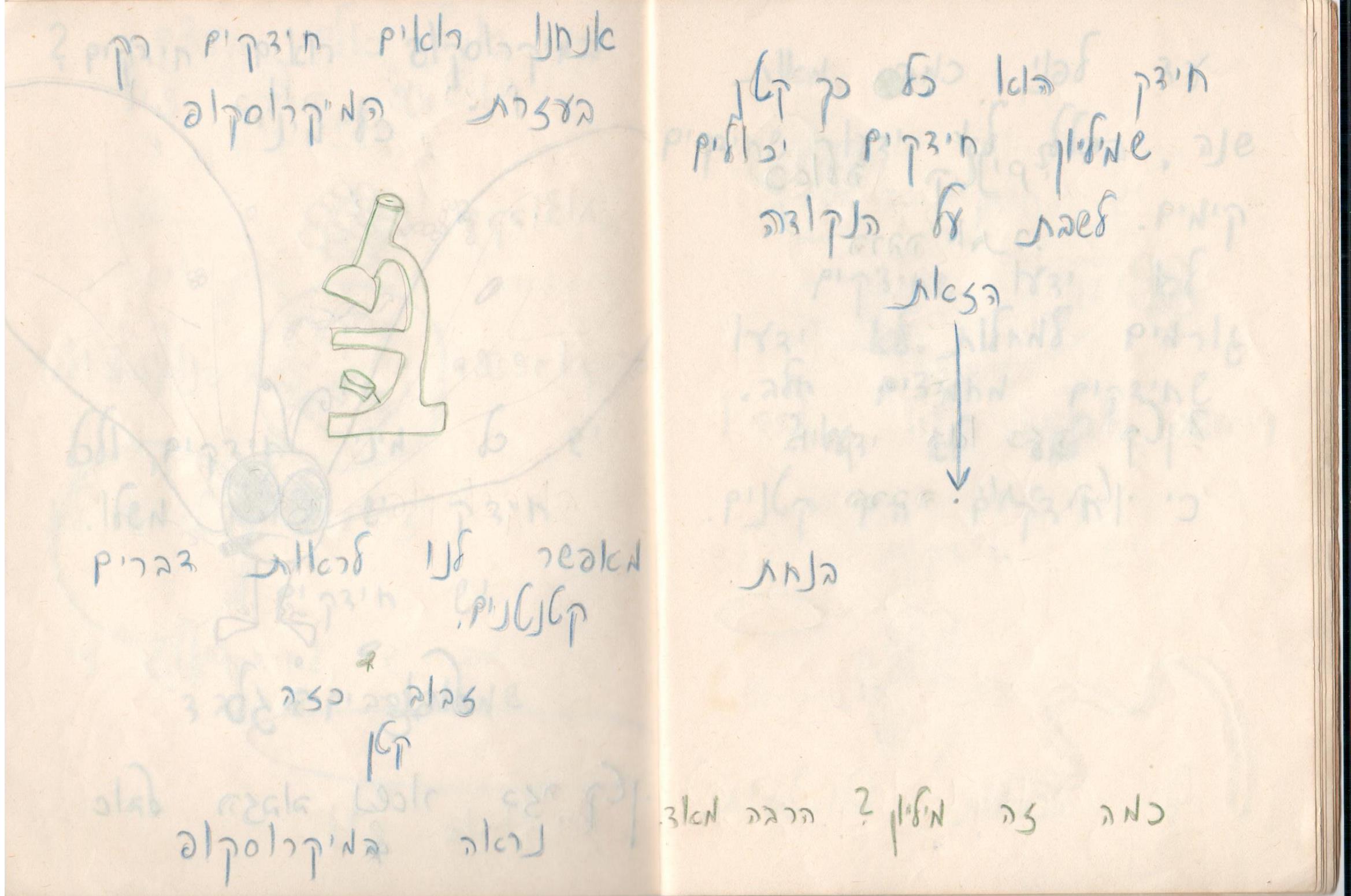 אנחנו רואים חיידקים רק בעזרת המיקרוסקופ. המחברת המקורית משנת 1975