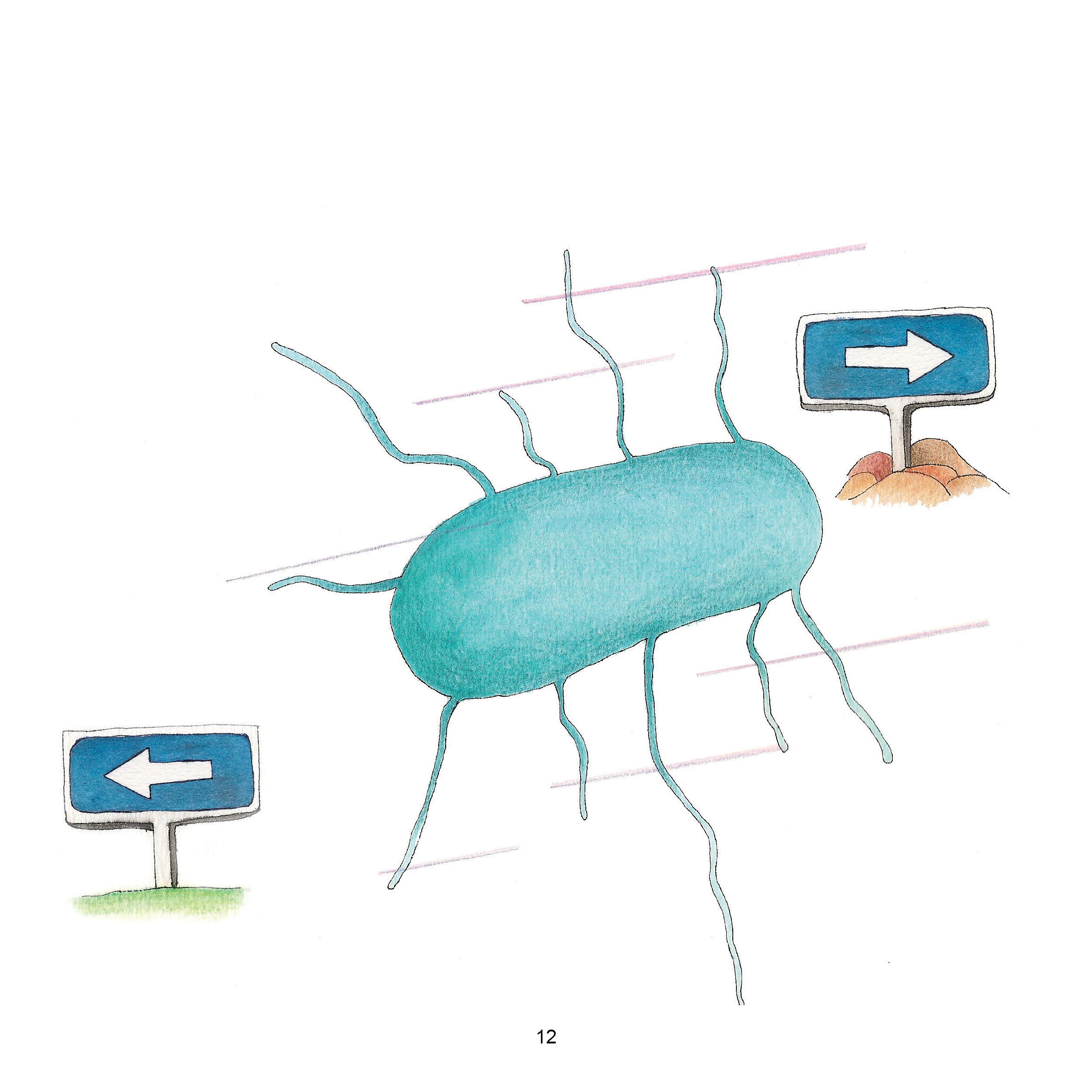 Bactéries à gogo Le Dimanche Matin par Mel Rosenberg en Francais by Mel Rosenberg - מל רוזנברג - Illustrated by Tali Niv-Dolinski - Ourboox.com