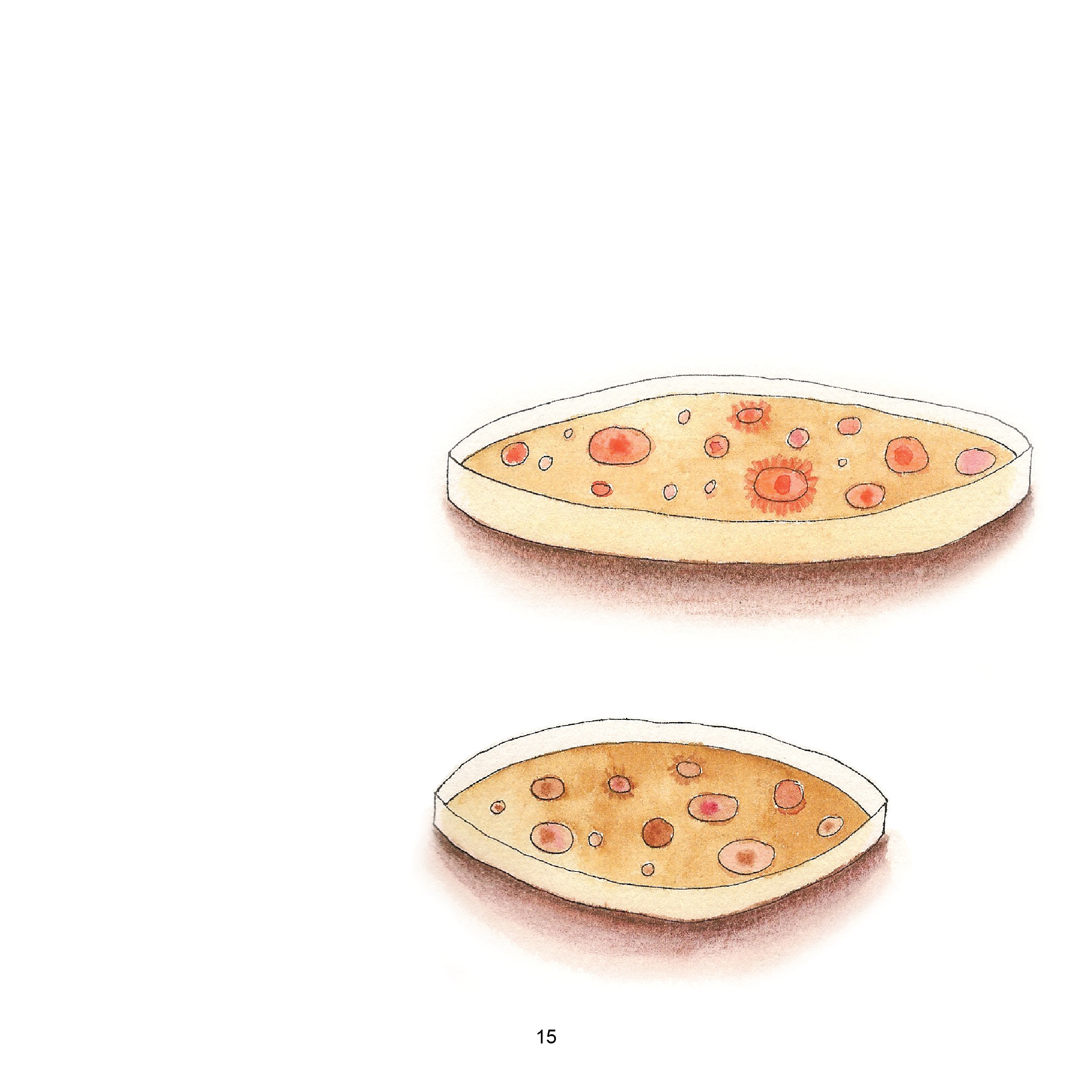 Bactéries à gogo Le Dimanche Matin par Mel Rosenberg en Francais by Mel Rosenberg - מל רוזנברג - Illustrated by Tali Niv-Dolinski - Ourboox.com