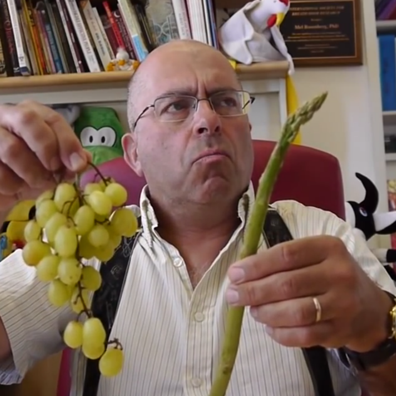 אספרגוס by Mel Rosenberg - מל רוזנברג - Ourboox.com