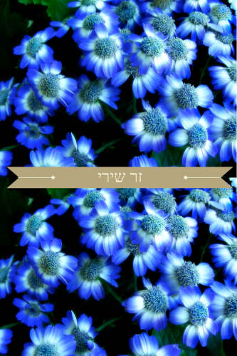 זר שירי by Danit Rosenberg - Ourboox.com זר שירי by Danit Rosenberg - Ourboox.com