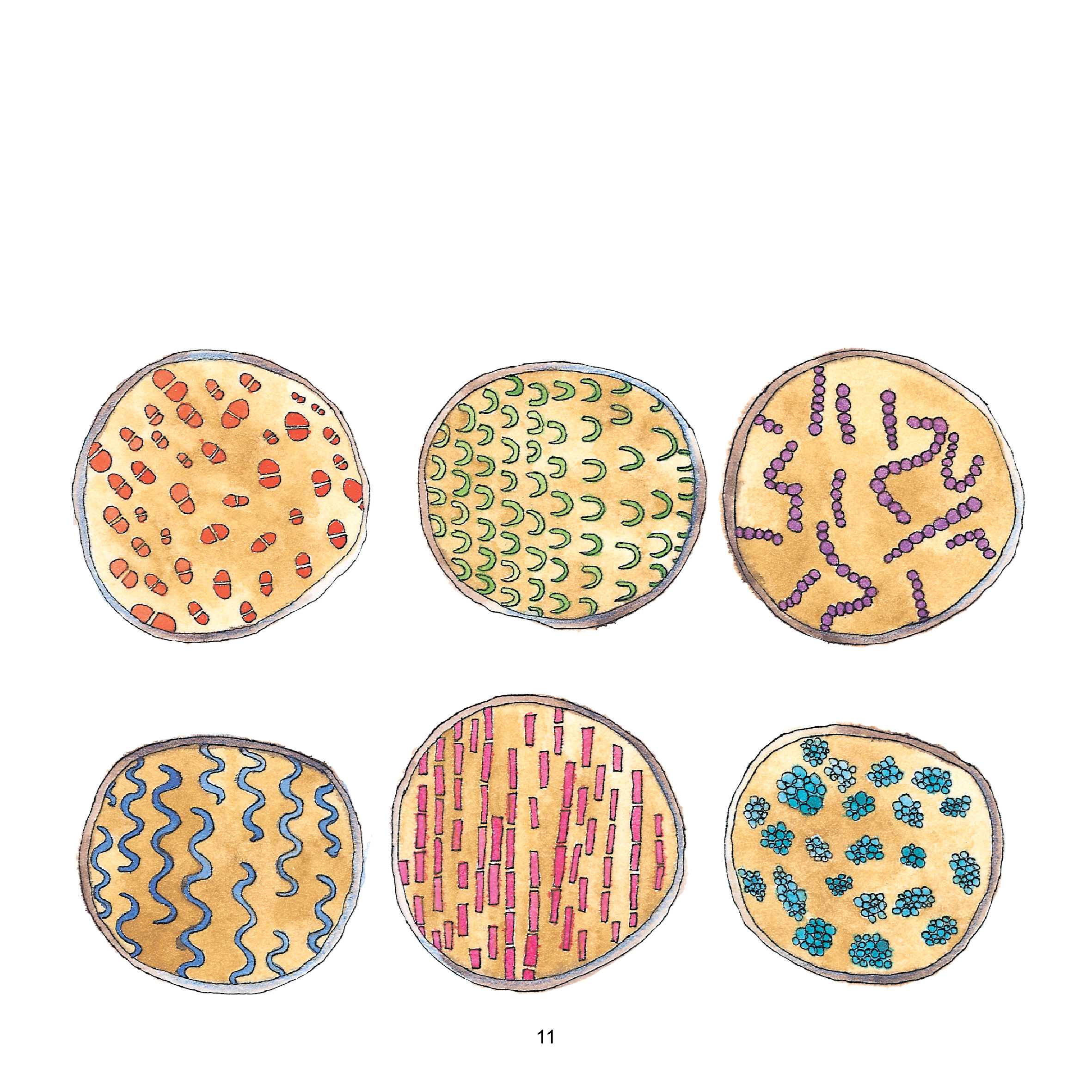 Bacteria Galore by Sunday at Four by Mel Rosenberg by Mel Rosenberg - מל רוזנברג - Illustrated by Tali Niv-Dolinsky - Ourboox.com