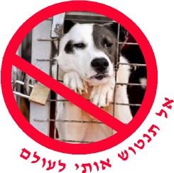 גם לחיות יש רגשות. הנטישה עבורם זה שבר גדול וסבל.