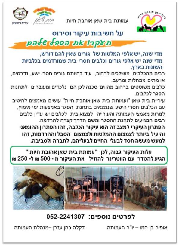 בית שאן אוהבת חיות by shlomit david - Illustrated by בית שאן אוהבת חיות - Ourboox.com