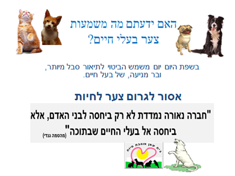 בית שאן אוהבת חיות by shlomit david - Illustrated by בית שאן אוהבת חיות - Ourboox.com