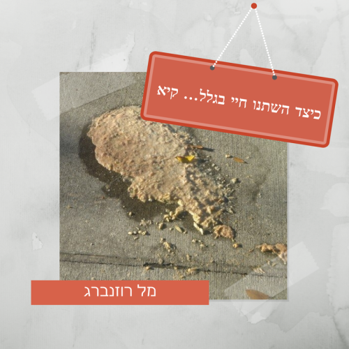 כיצד השתנו חיי בגלל… קיא by Mel Rosenberg - מל רוזנברג - Ourboox.com כיצד השתנו חיי בגלל… קיא by Mel Rosenberg - מל רוזנברג - Ourboox.com