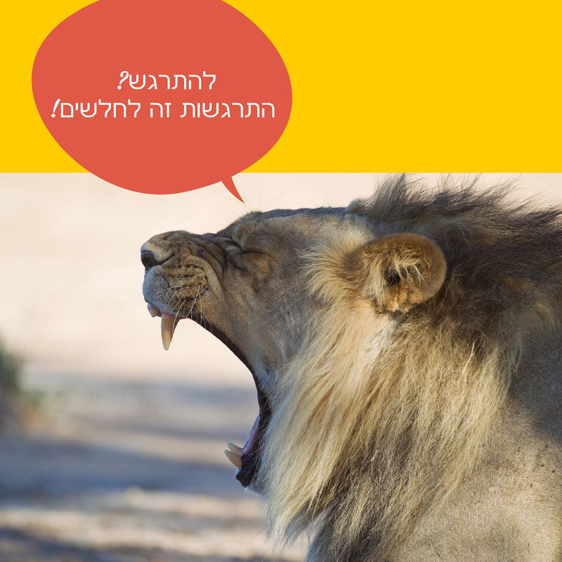 התרגשות זה לחלשים, לא לאריות. טיפים להרצאה מוצלחת