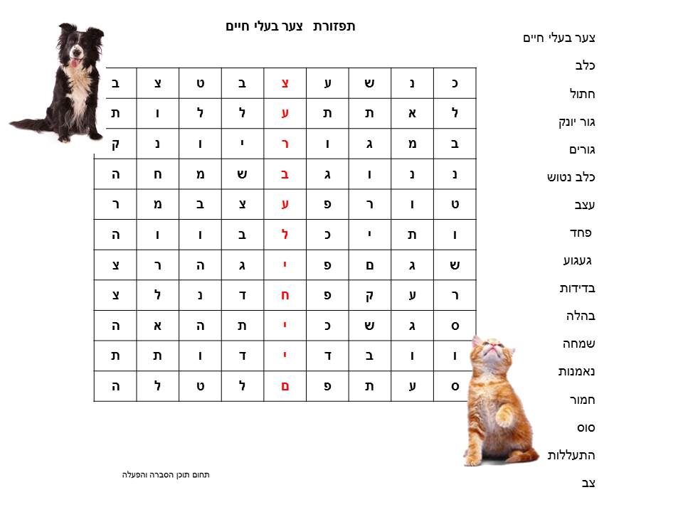בית שאן אוהבת חיות by shlomit david - Illustrated by בית שאן אוהבת חיות - Ourboox.com
