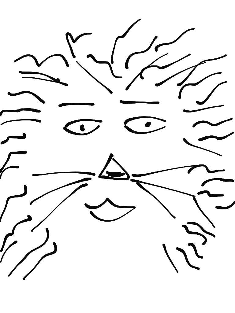 אֵיךְ מְצַיְּרִים אַרְיֵה? by Sigal Magen - Illustrated by סיגל מגן - Ourboox.com