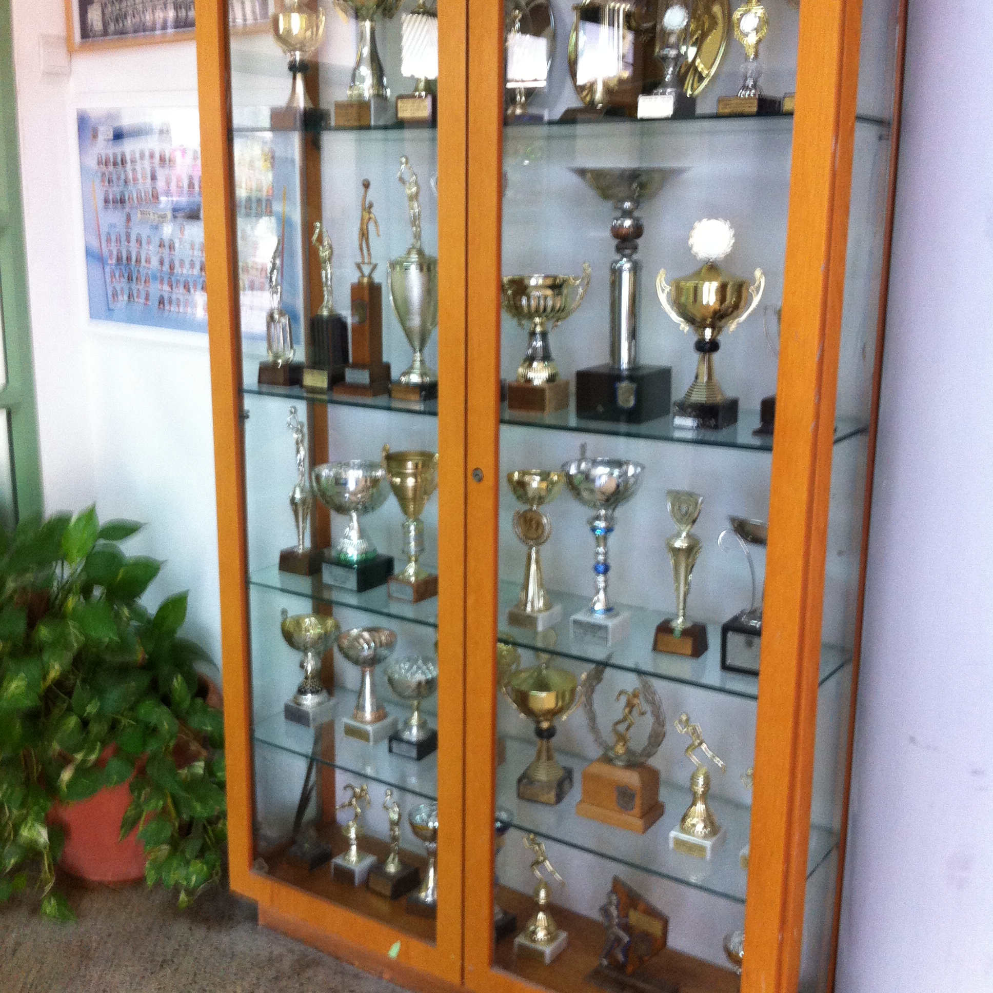 Ironi Hey high school in Tel-Aviv has won a many trophies over the years