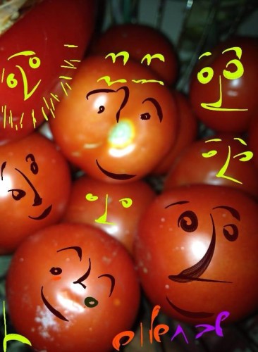 הסוד של מירו by Sara Dazin - Illustrated by Moshe Dazin - Ourboox.com