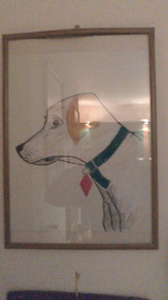 My pictures and drawings by Sara Dazin - Illustrated by Victoria Sara Dazin - Ourboox.com