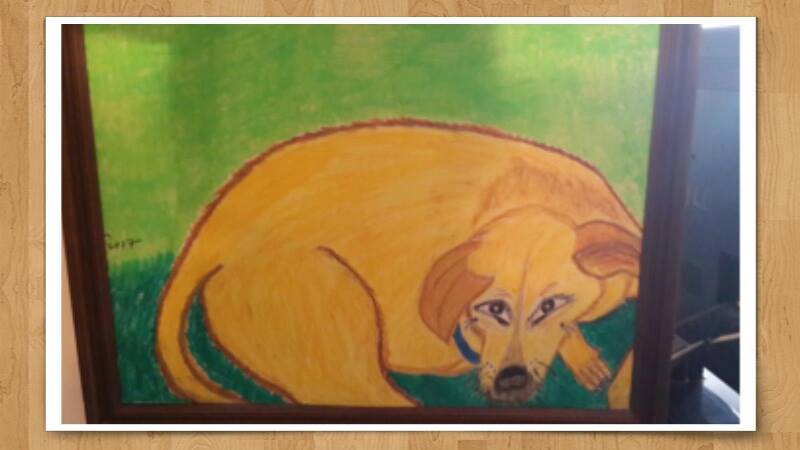 My pictures and drawings by Sara Dazin - Illustrated by Victoria Sara Dazin - Ourboox.com
