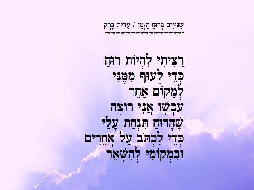 נגיעות by idit barak - Ourboox.com