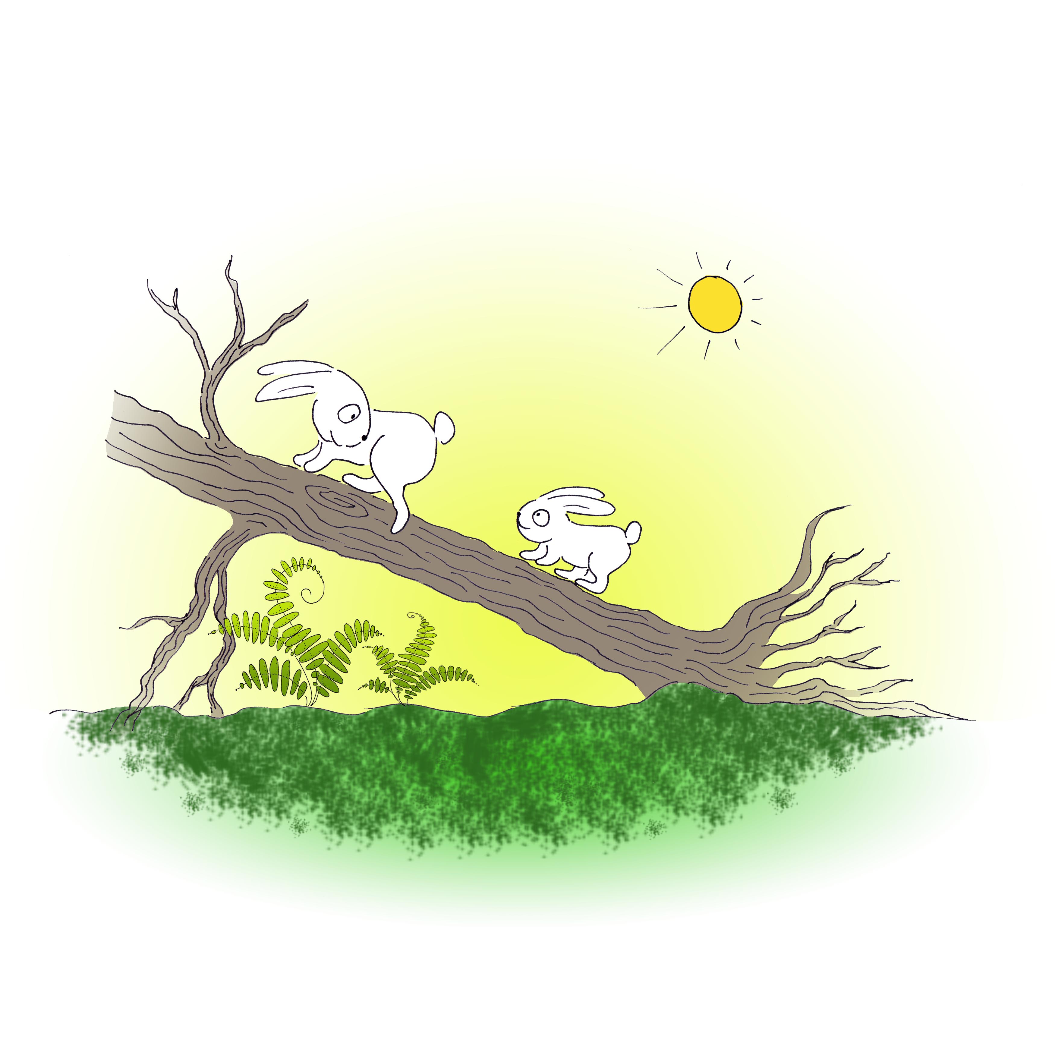 Springy and Tiny-a story of a special brother by Ifat Shuster - Illustrated by Irena Brodeski - Ourboox.com