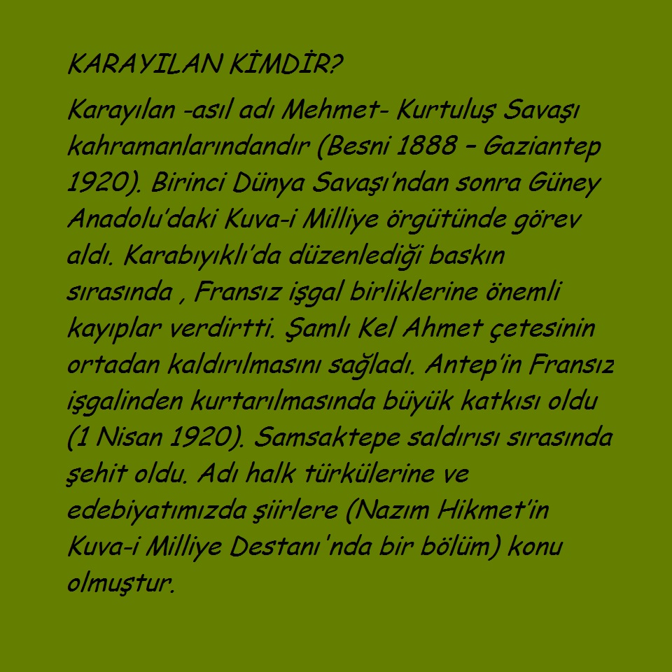 MİNE’NİN HAYALİ by FATMA DURAK - Illustrated by ELİF YAYLI, TUBA AKSÖZEK, FATMA DURAK, BÜŞRA KIVANÇ, FAZİLET GÜLCÜ - Ourboox.com
