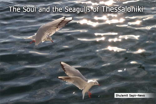 The Soul and the Seagulls of Thessaloniki by Shulamit Sapir-Nevo - Illustrated by Photos by Shulamit Sapir-Nevo - Ourboox.com The Soul and the Seagulls of Thessaloniki by Shulamit Sapir-Nevo - Illustrated by Photos by Shulamit Sapir-Nevo - Ourboox.com