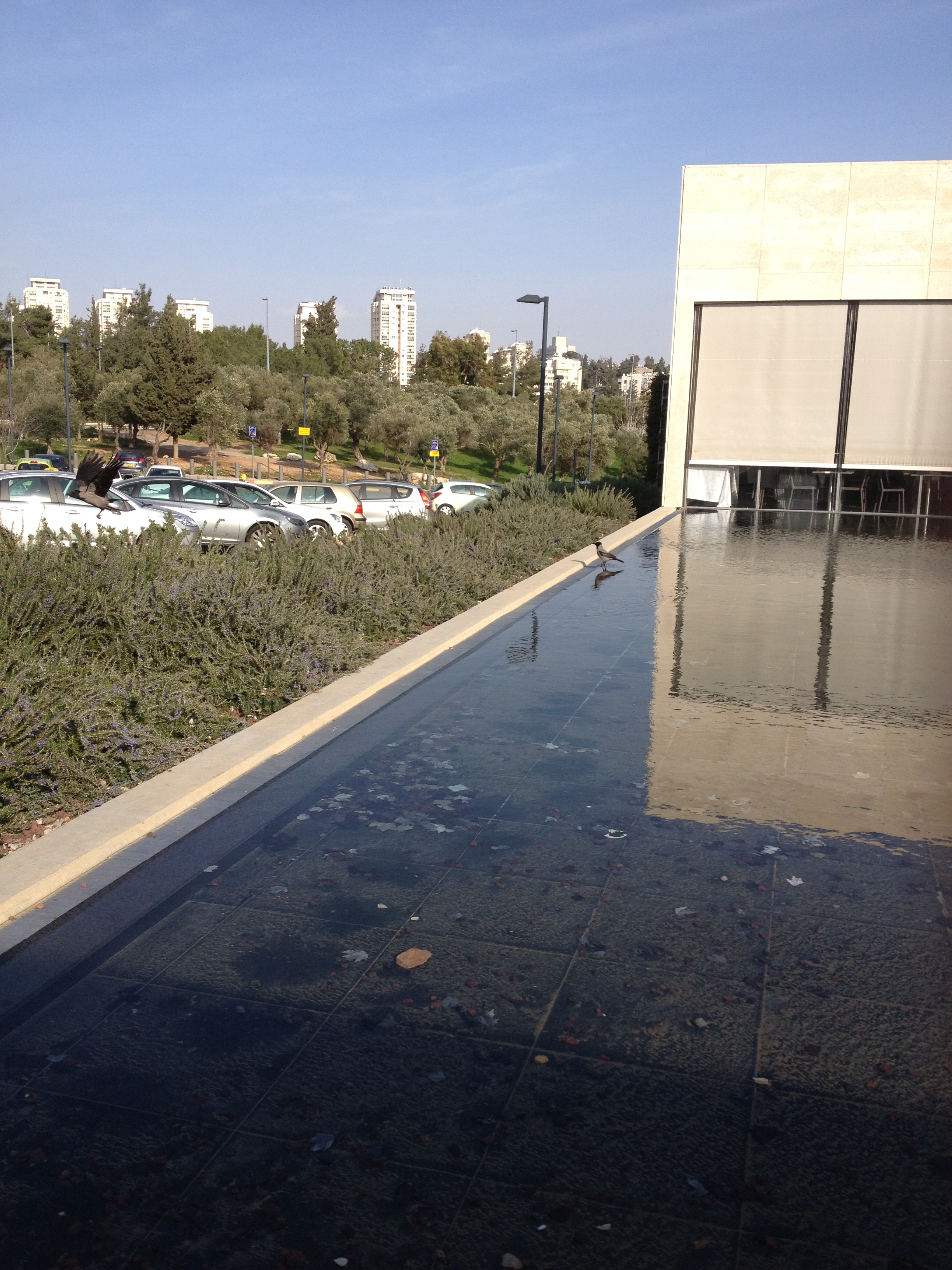 מוזיאון ישראל בירושלים מסכות מחול ועוד by Shuli Sapir-Nevo Photo and Motto - Illustrated by Photos by Shulamit Sapir-Nevo - Ourboox.com
