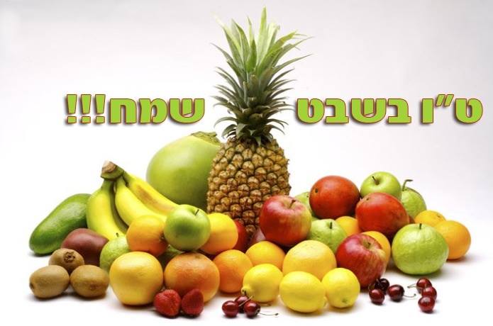 האישה המטילה תקוותה אל גליה – ליפעת אמוץ לוי by Yoged - יגודז