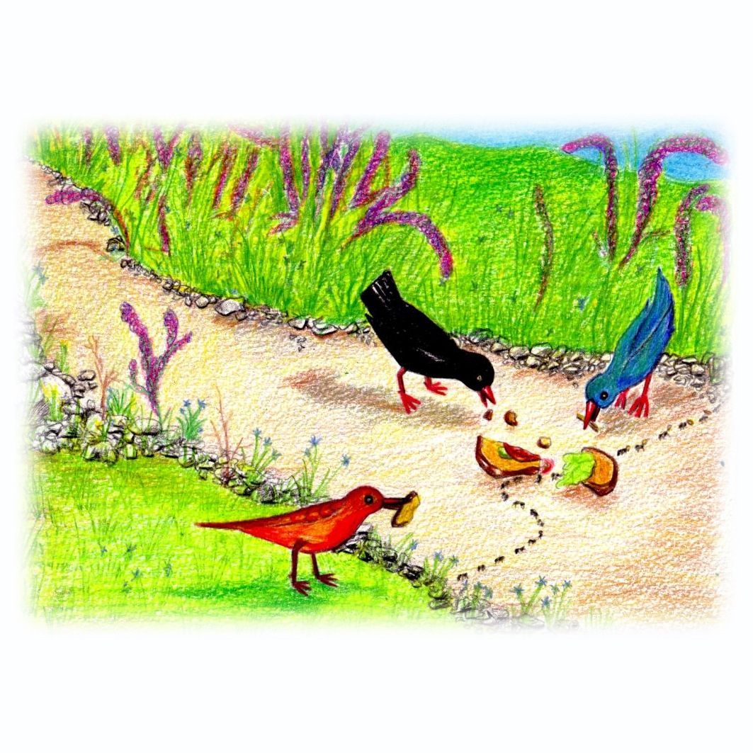 Going to Treasureland by Daphna Rosin - Illustrated by Daphna Rosin - Ourboox.com