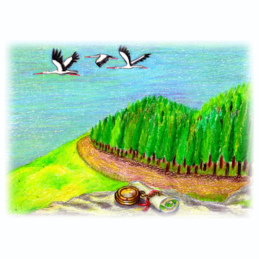 Going to Treasureland by Daphna Rosin - Illustrated by Daphna Rosin - Ourboox.com