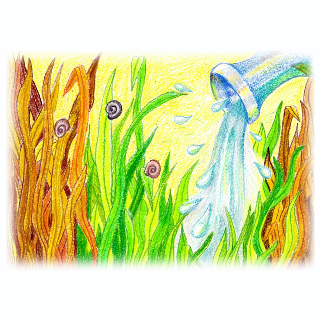 Going to Treasureland by Daphna Rosin - Illustrated by Daphna Rosin - Ourboox.com