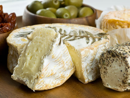 camembert