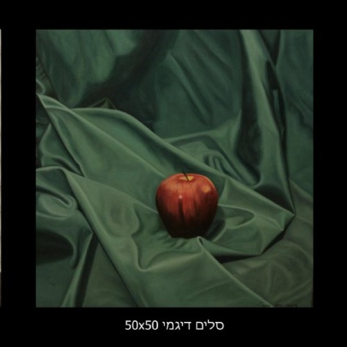 מופלאות האומנות by Sara Dazin - Illustrated by הצייר סלים דיגמי - Ourboox.com
