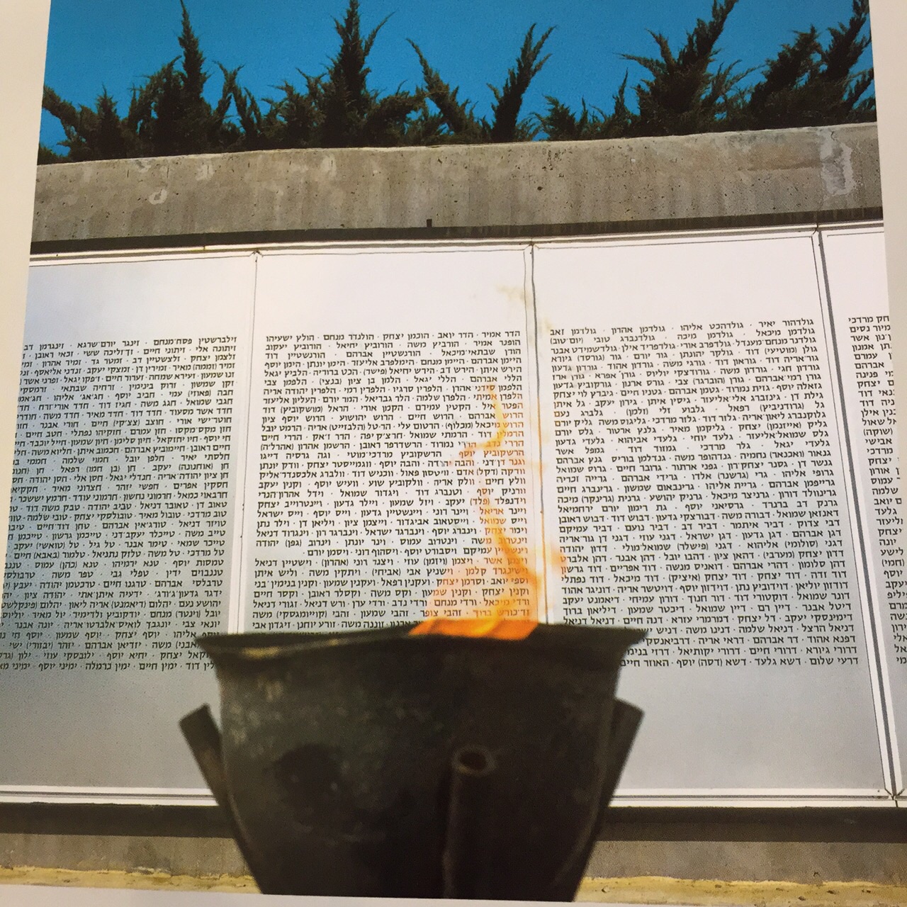 DOVES OF LATRUN by Shulamit Sapir-Nevo - Illustrated by studio Ira Keren - Ourboox.com