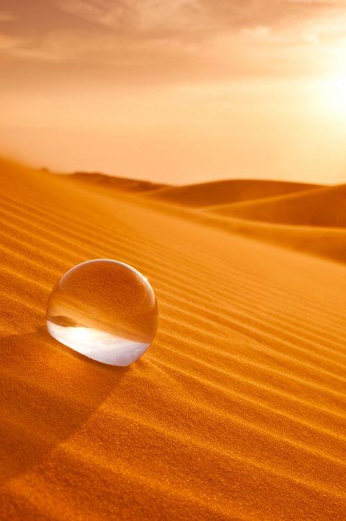 In wineskins cold water and seasonings full amount! Always-incense "Where have you promised land"? Who in Arabia in the desert? Camel with a canopy. How many ethnic groups, rook. Those are the constellation yes. As those motley gowns. And usually in a turban. As a special makeup. Women