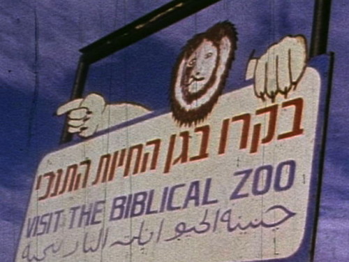 גן החיות התנ”כי by alonim h - Illustrated by מארק - Ourboox.com גן החיות התנ”כי by alonim h - Illustrated by מארק - Ourboox.com