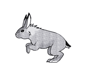 Artwork from the book - Ø¥ÙØ´Ø§Ø¡ ÙØªØ§Ø¨ Ø¨ÙØ§Ø³Ø·Ø© OurBoox Tutorial in Arabic by Elias Najjar - Illustrated by Ø§ÙÙØ§Ø³ ÙØ¬ÙØ§Ø± Ù Ø±Ø§ÙÙØ© Ø¨ÙÙØ³ - Ourboox.com