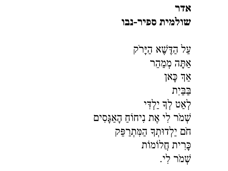 אדר. שולמית ספיר נבו