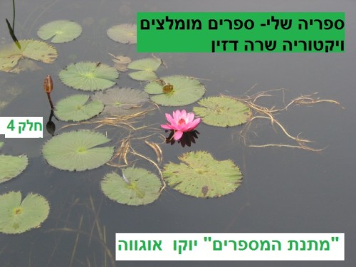 ספריה שלי – ספרים מומלצים חלק 4 “מתנת המספרים” יוקו אוגווה by Sara Dazin - Illustrated by Victoria Sara Dazin - Ourboox.com ספריה שלי – ספרים מומלצים חלק 4 “מתנת המספרים” יוקו אוגווה by Sara Dazin - Illustrated by Victoria Sara Dazin - Ourboox.com