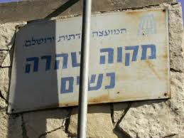 ספריה שלי – ספרים מומלצים חלק 7 ” המקווה האחרון בסיביר ” אשכול נבו by Sara Dazin - Illustrated by Victoria Sara Dazin - Ourboox.com