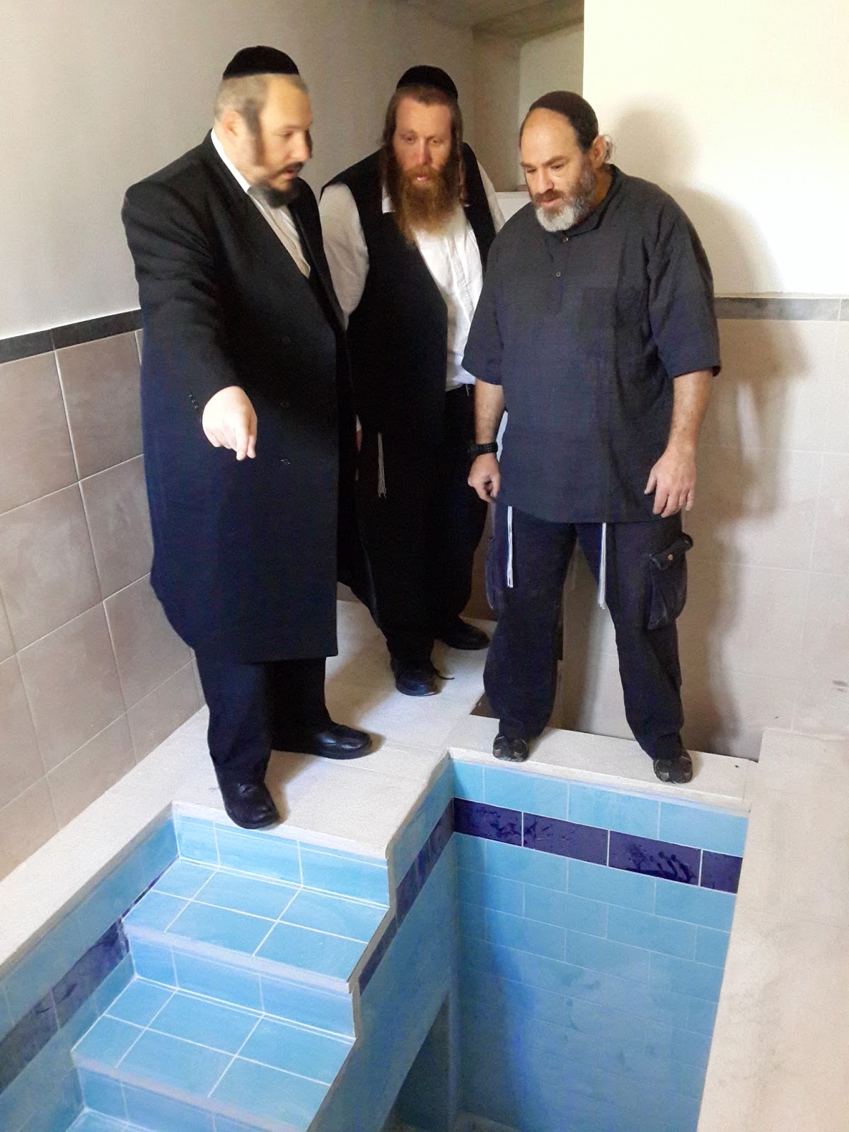 ספריה שלי – ספרים מומלצים חלק 7 ” המקווה האחרון בסיביר ” אשכול נבו by Sara Dazin - Illustrated by Victoria Sara Dazin - Ourboox.com